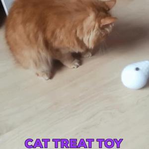 CAT TREAT TOY