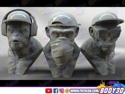 3 Wise Monkeys