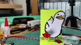 Walking Duck Automata 行走的鸭子