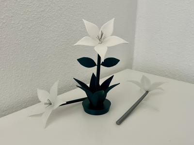 Lunar Tear