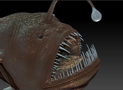 Angler fish