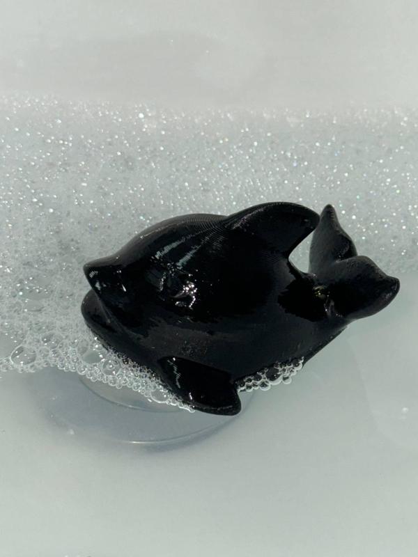 Cute Baby Dolphin floating in water