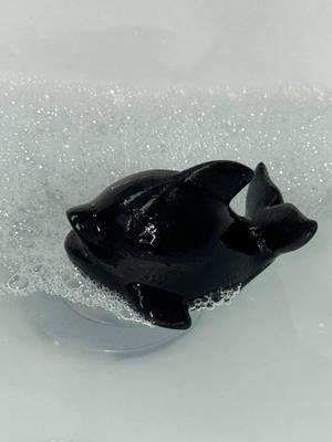 Cute Baby Dolphin floating in water