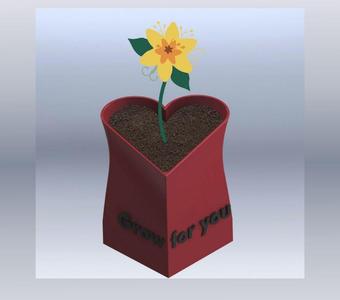 Heart flowerpot ´´Grow for you´´