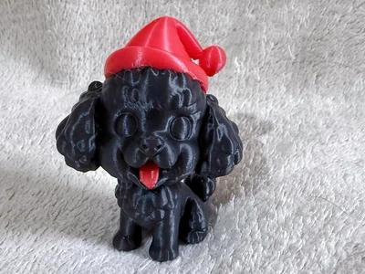Poodle