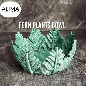 Fern Plants Bowl