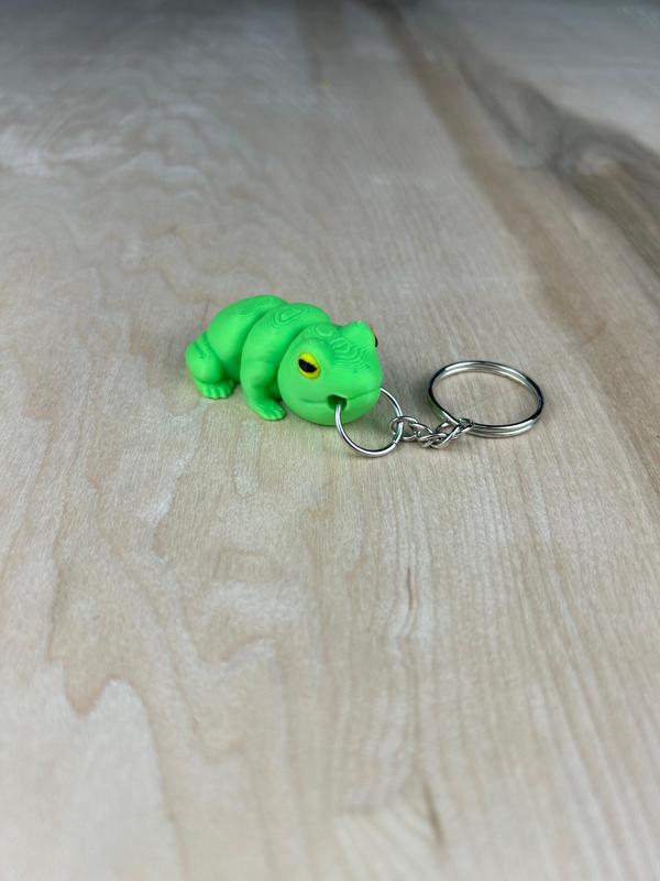 Frog Fidget Keychain