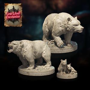 Bears and Bear Cubs