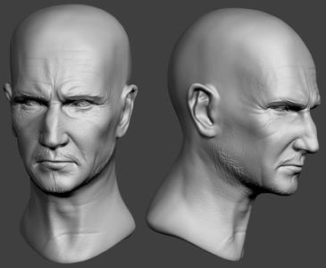 Male Head Sculpt