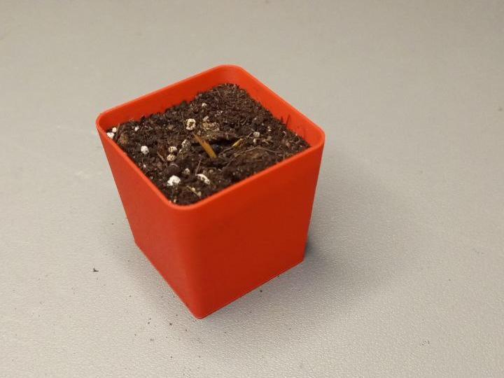 Reusable seeding pot - MiFa GrowSystem