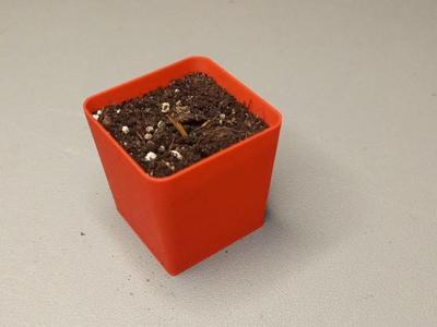 Reusable seeding pot - MiFa GrowSystem
