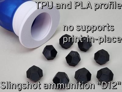 Slingshot ammunition "you hit, roll d12 damage"