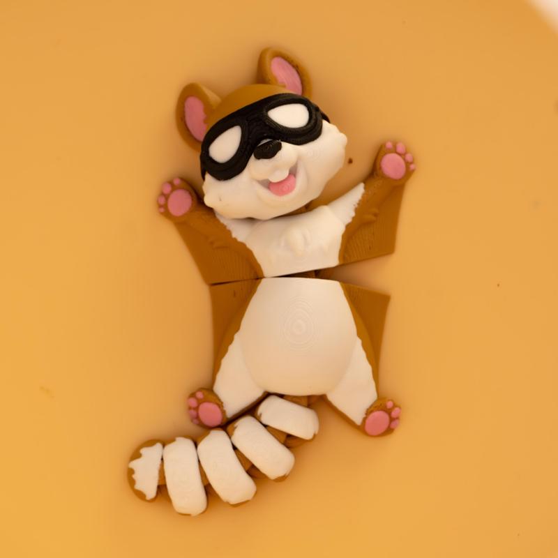 FlyingSquirrel.3mf