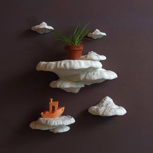 Mushroom shelf “Formitopsis Pinicula”