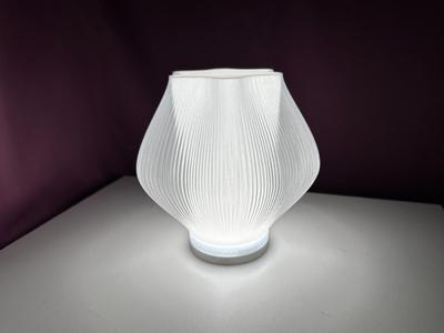 LOTUS lamp for Led kit 001