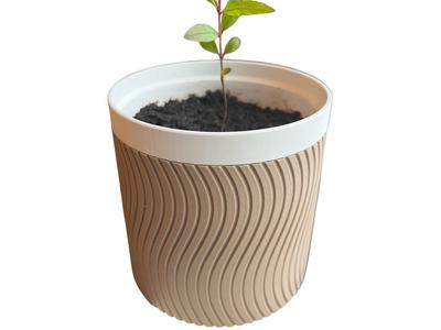Self Water Flower Pot