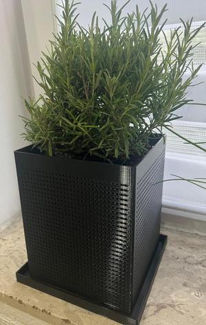 Simple Airpot - grow plant pot