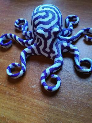 Octopus dual color