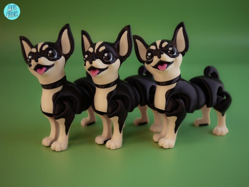 Flexi Chihuahua Puppy
