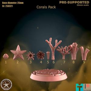 Sea Corals Base Decoration Pack Nine Models