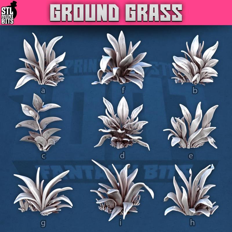 1001 - Ground Grass