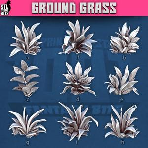 1001 - Ground Grass
