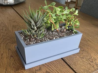 Wide Window Sill Planter with Hidden Divider