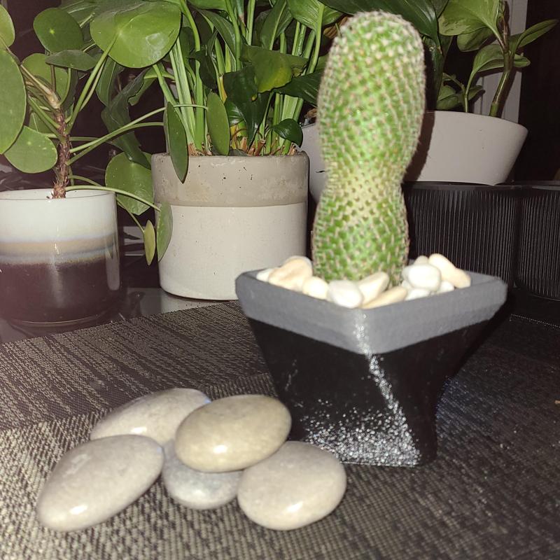 "Somehting Twisted" Planter