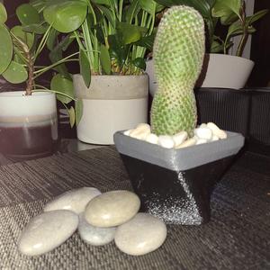 "Somehting Twisted" Planter