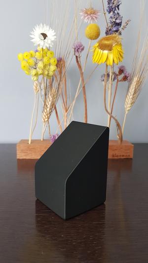 A1 mini rail extender