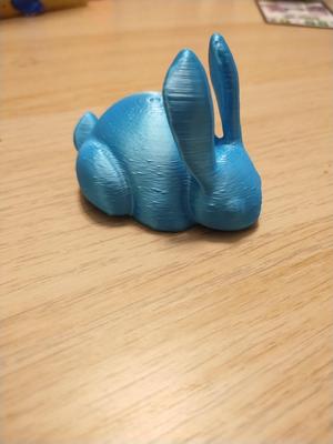 Hopper the loafer bunny