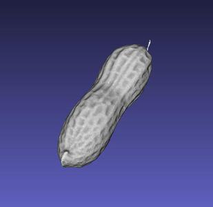 Peanut scanned with Revopoint MetroX