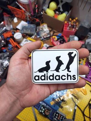 Dachshund Adidachs