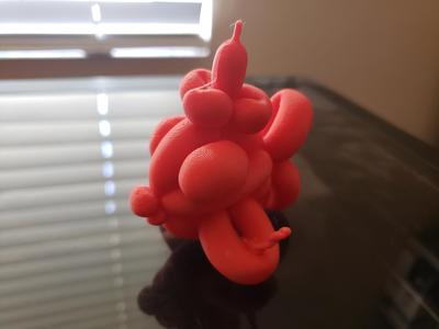 Balloon Animal Fish Wizard