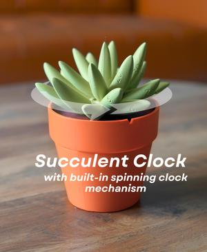 Succulent Clock