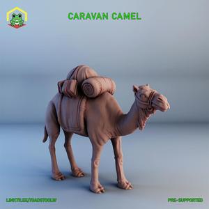 Caravan Camel