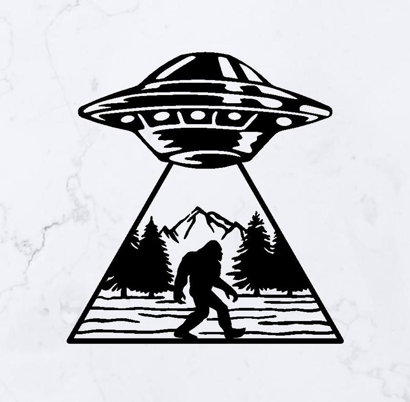 UFO Abduction