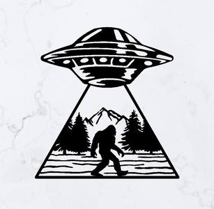 UFO Abduction