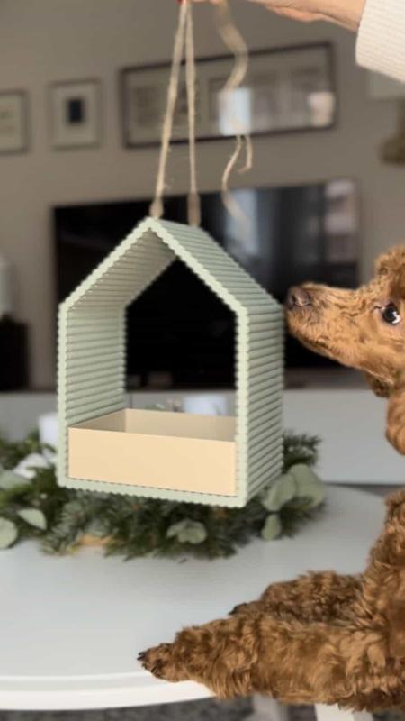 FEATHRA bird feeder I birdhouse