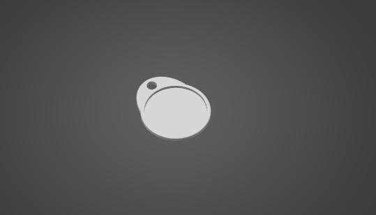 Tag holder
