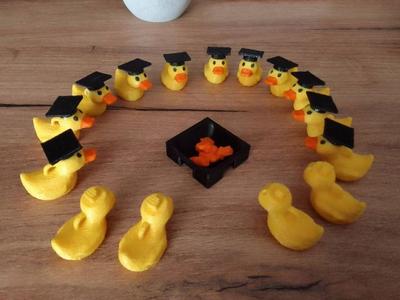 Ducky  with a hat - gift for end of the academic year