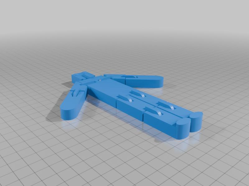 Flexiperson