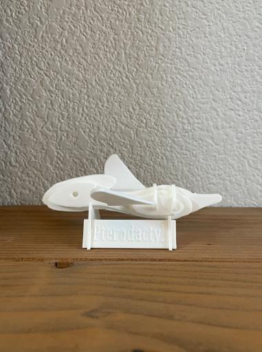 Pterodactyl Kit-Card