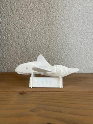 Pterodactyl Kit-Card