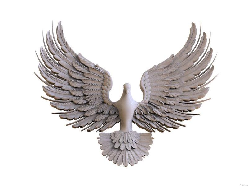 Flight of bird
