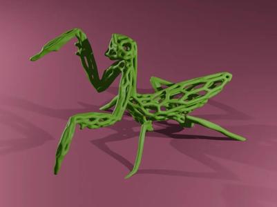 Praying Mantis Voronoi   