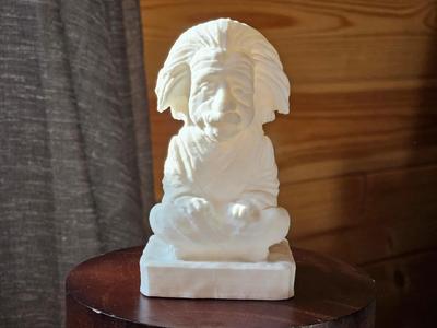 Contemplating Genius: The Albert Einstein Sculpture   