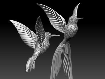 colibri humming bird