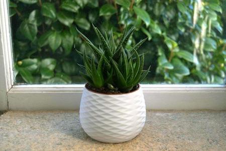 Home Decor Pot