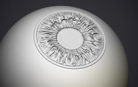 Human eye